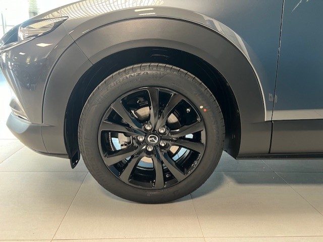 MAZDA CX-30 usata, con Park Distance Control