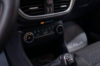 FORD Fiesta usata, con Vetri oscurati