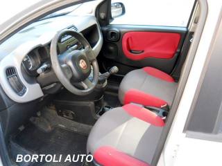 FIAT Panda usata, con Fendinebbia