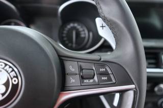 ALFA ROMEO Stelvio usata 48