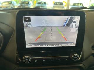 FORD EcoSport usata, con Servosterzo