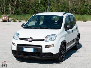 FIAT Panda usata, con Airbag Passeggero