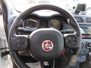 FIAT Panda usata, con Climatizzatore