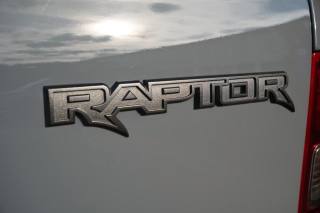 FORD Ranger Raptor usata, con Fendinebbia