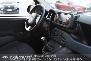 FIAT Panda usata 7