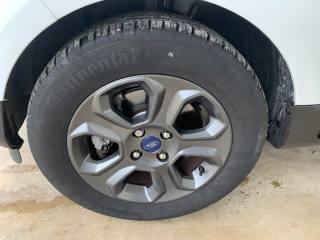 FORD EcoSport usata, con Airbag testa