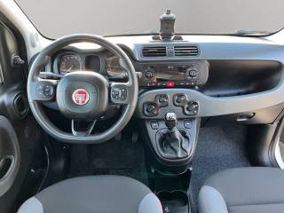 FIAT Panda usata 9