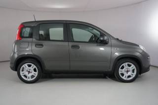 FIAT Panda usata 22