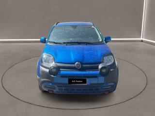 FIAT Panda Cross usata, con Airbag testa