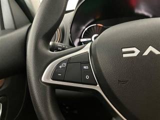 DACIA Spring usata 16