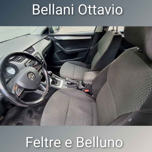 SKODA Octavia usata, con Controllo trazione