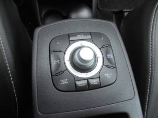 RENAULT Scenic usata 33