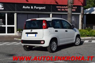 FIAT Panda usata, con Airbag Passeggero