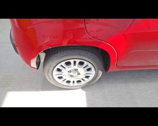 FIAT New Panda usata 22