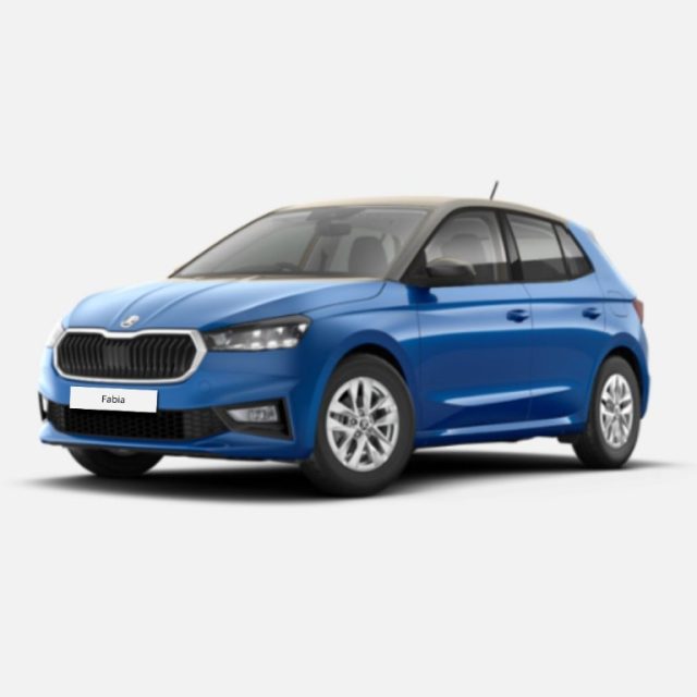 SKODA Fabia usata, con ABS