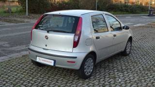 FIAT Punto usata, con Cronologia tagliandi