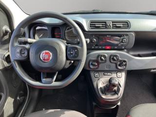 FIAT Panda usata, con Servosterzo