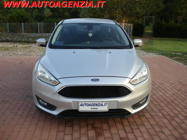 FORD Focus usata 5