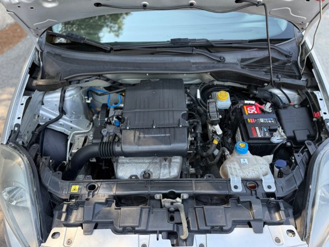FIAT Punto usata 18