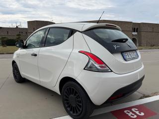 LANCIA Ypsilon usata 42