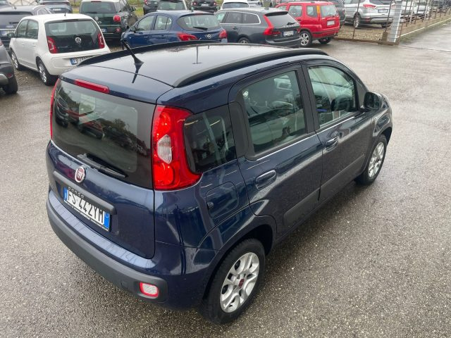FIAT Panda usata, con Fendinebbia