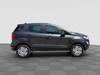 FORD EcoSport usata 5
