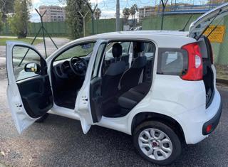 FIAT Panda usata 25