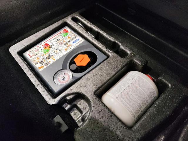 FORD S-Max usata, con Filtro antiparticolato