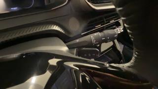 PEUGEOT 2008 usata, con Volante in pelle