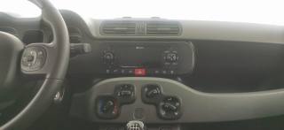 FIAT Panda usata 28