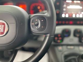 FIAT Panda Cross usata, con Autoradio digitale