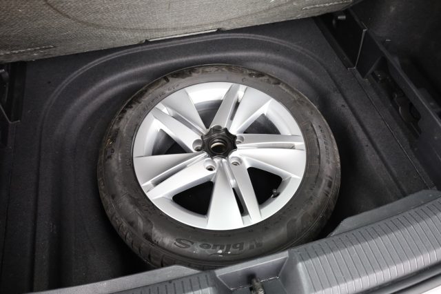 VOLKSWAGEN Golf usata 100