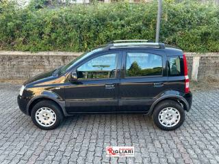 FIAT Panda usata 3
