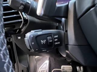 DS AUTOMOBILES DS 7 usata 20