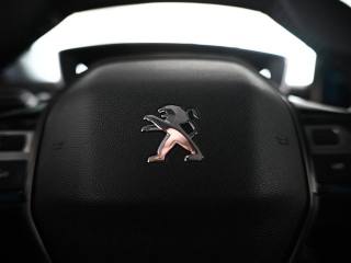 PEUGEOT 3008 usata, con Luci diurne LED