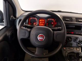 FIAT Panda usata, con Climatizzatore