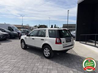 LAND ROVER Freelander usata, con Climatizzatore
