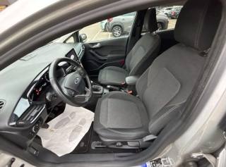 FORD Fiesta Active 1.0 Ecoboost 100 CV