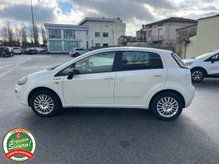 FIAT Punto usata, con Cronologia tagliandi