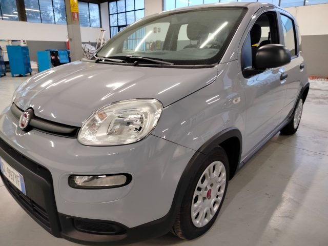 FIAT Panda usata, con Airbag testa
