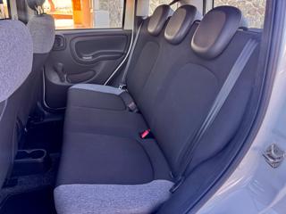 FIAT Panda usata, con Cronologia tagliandi