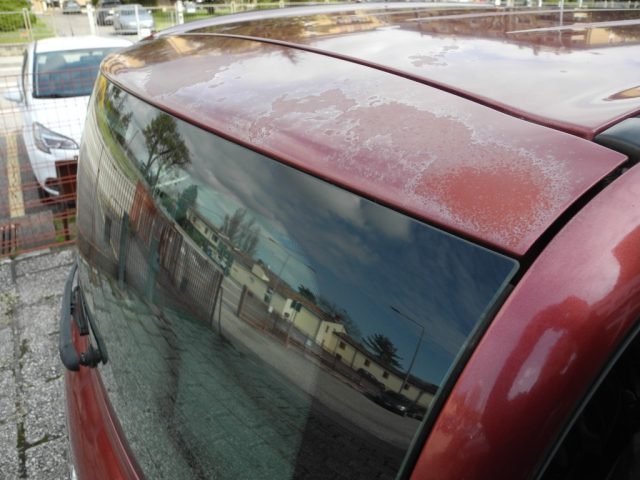 FIAT Multipla usata 66