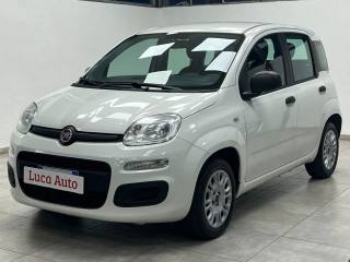 FIAT Panda 1.2 69CV *UNICO PROP.*TAGLIANDI CERT.*OK NEOPAT.*