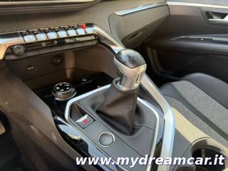 PEUGEOT 3008 usata, con Climatizzatore