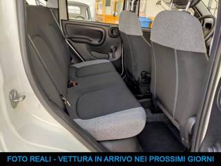 FIAT Panda usata, con Cronologia tagliandi