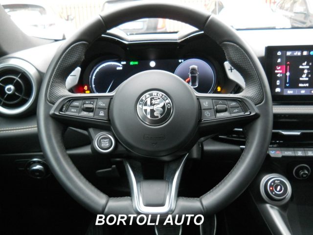 ALFA ROMEO Tonale usata, con Cronologia tagliandi