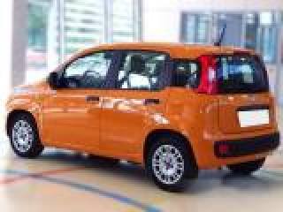 FIAT Panda usata, con Airbag Passeggero