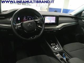 SKODA Octavia usata, con Fari LED