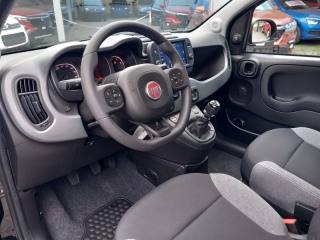 FIAT Panda usata, con Immobilizzatore elettronico