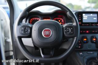 FIAT Panda usata 21